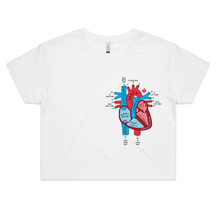 Anatomical heart - women's crop top