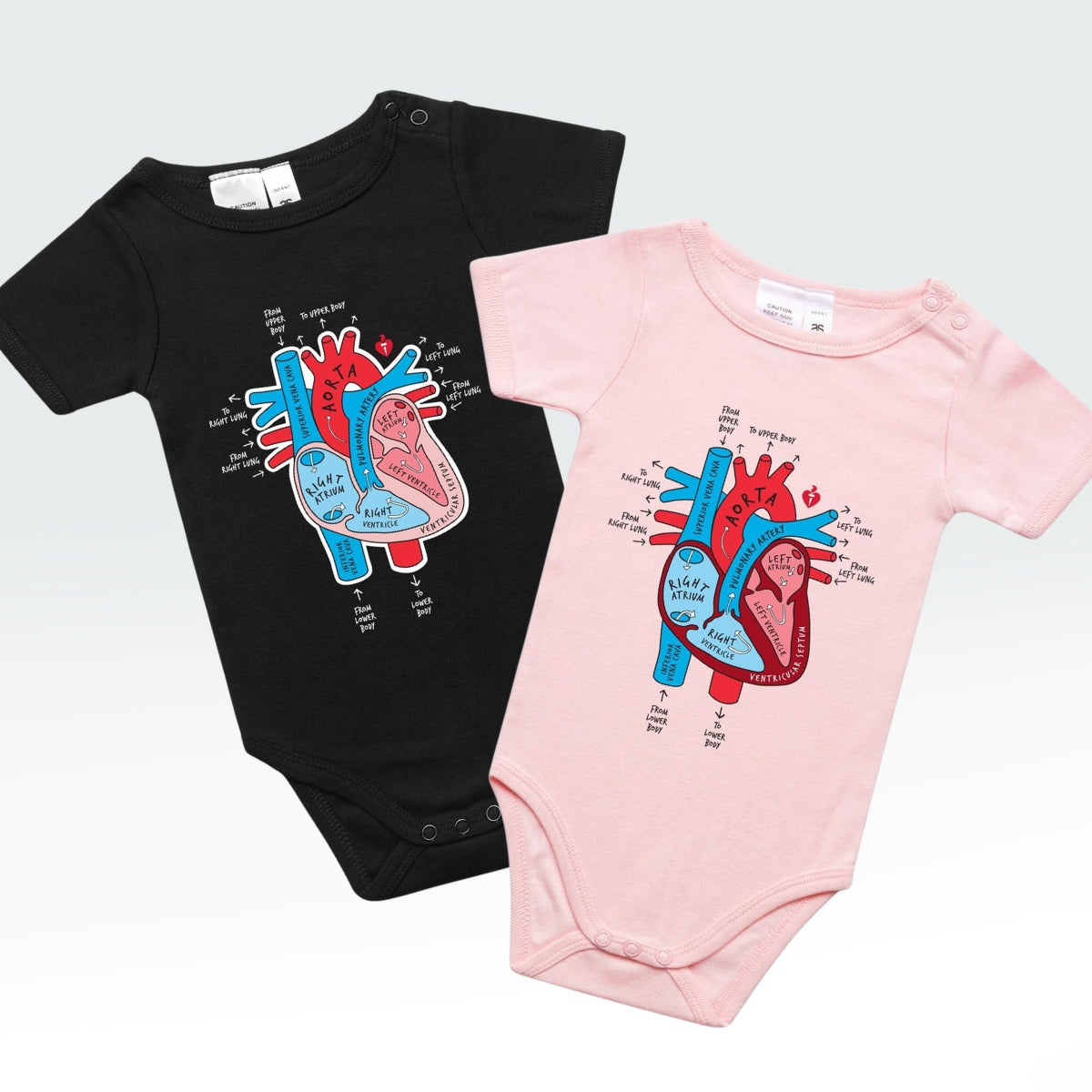 Anatomical heart - baby onesie