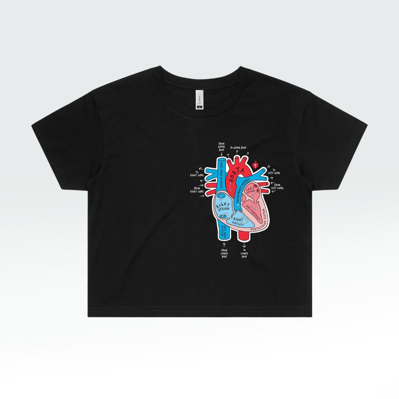Anatomical heart - women's crop top