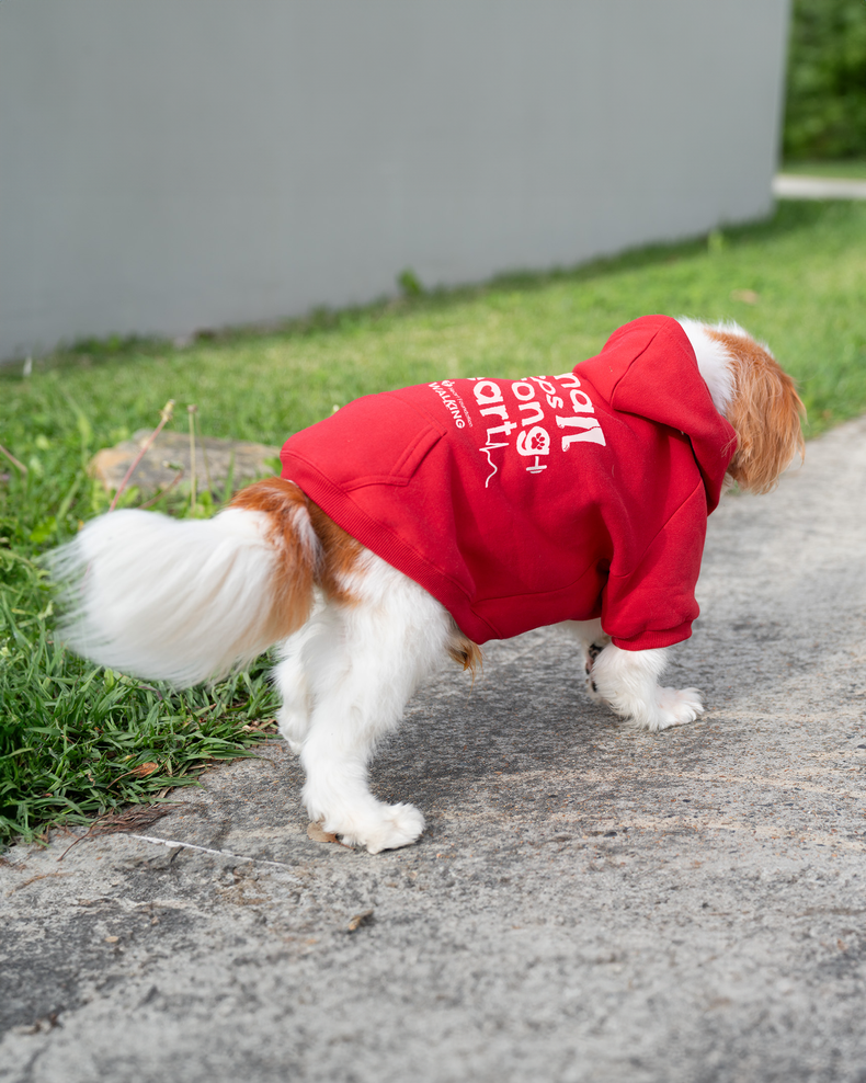 Small steps, strong heart - dog hoodie