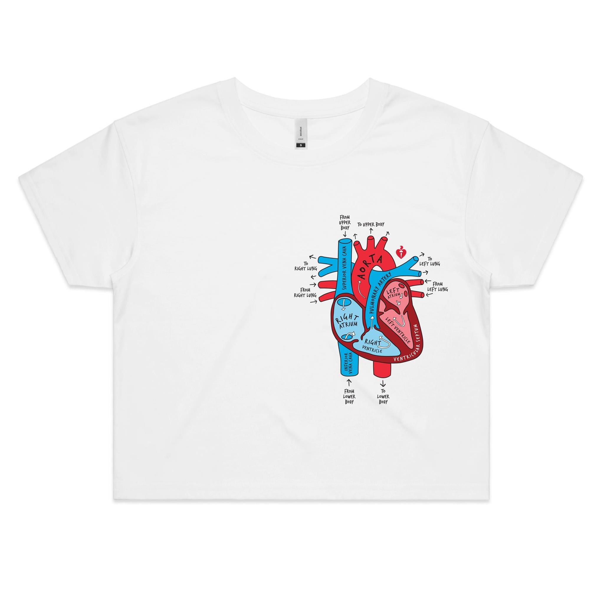 Anatomical heart - women's crop top – National Heart Foundation of