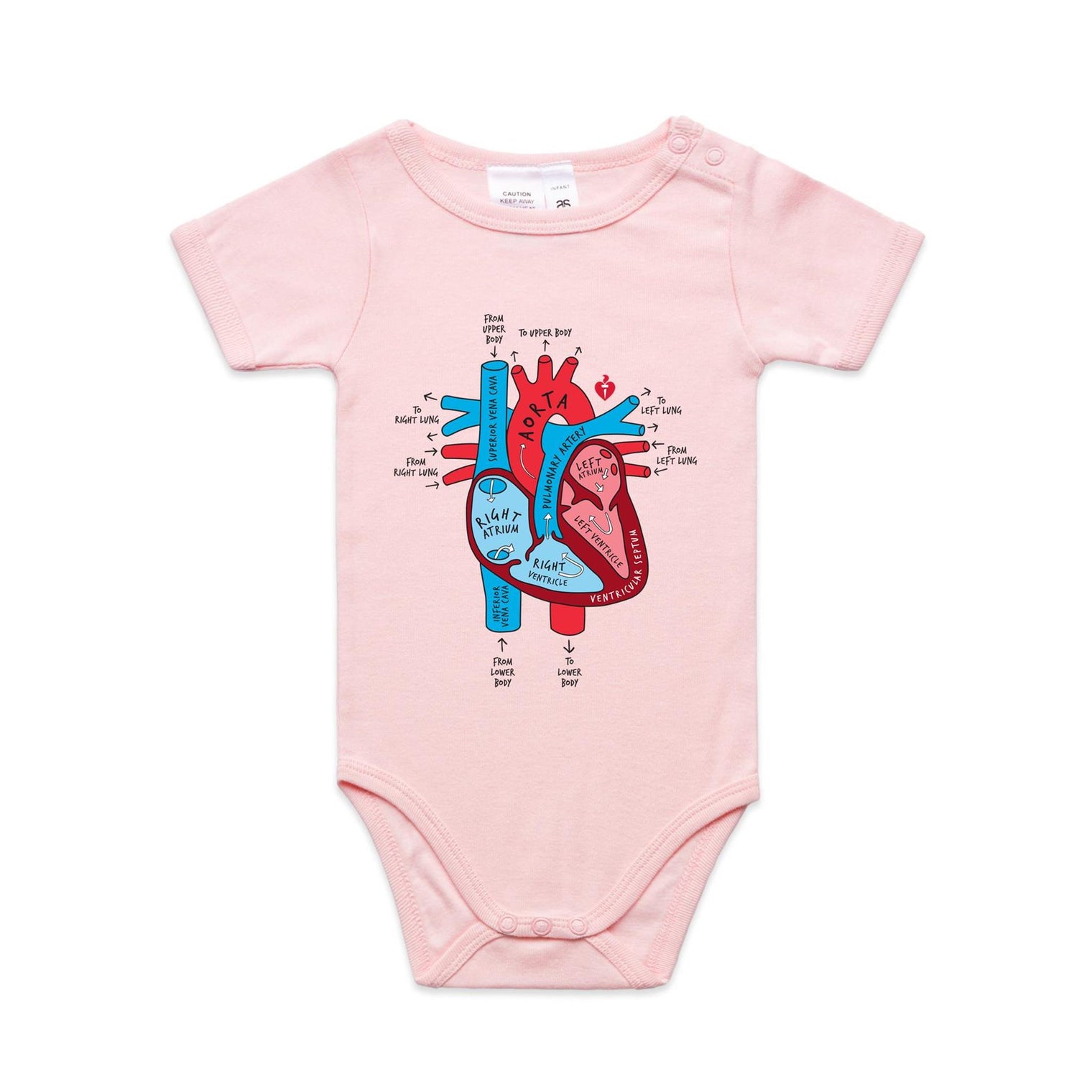 Pink infant onesie featuring an anatomical heart drawing, shown on a white background.